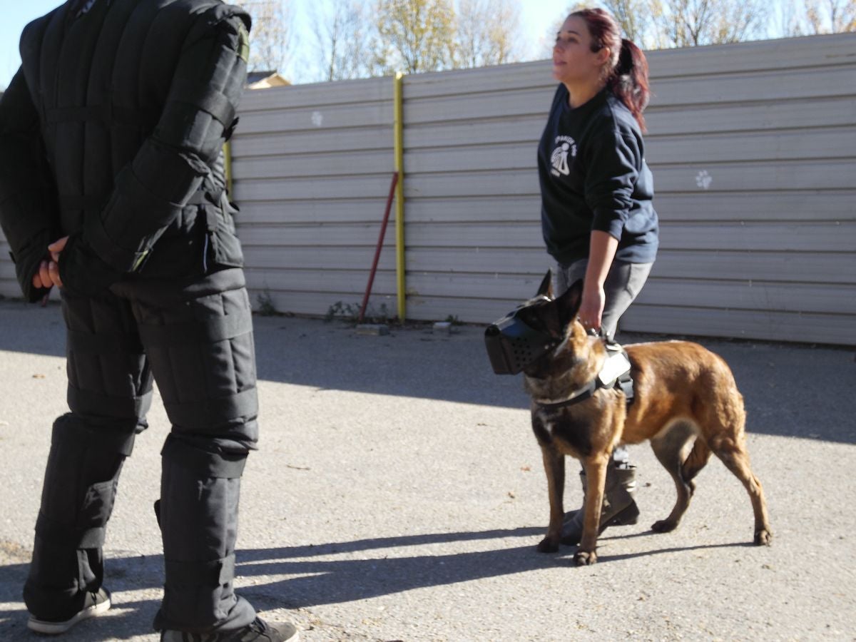 Educando desde el cariño, en Spanish Dog