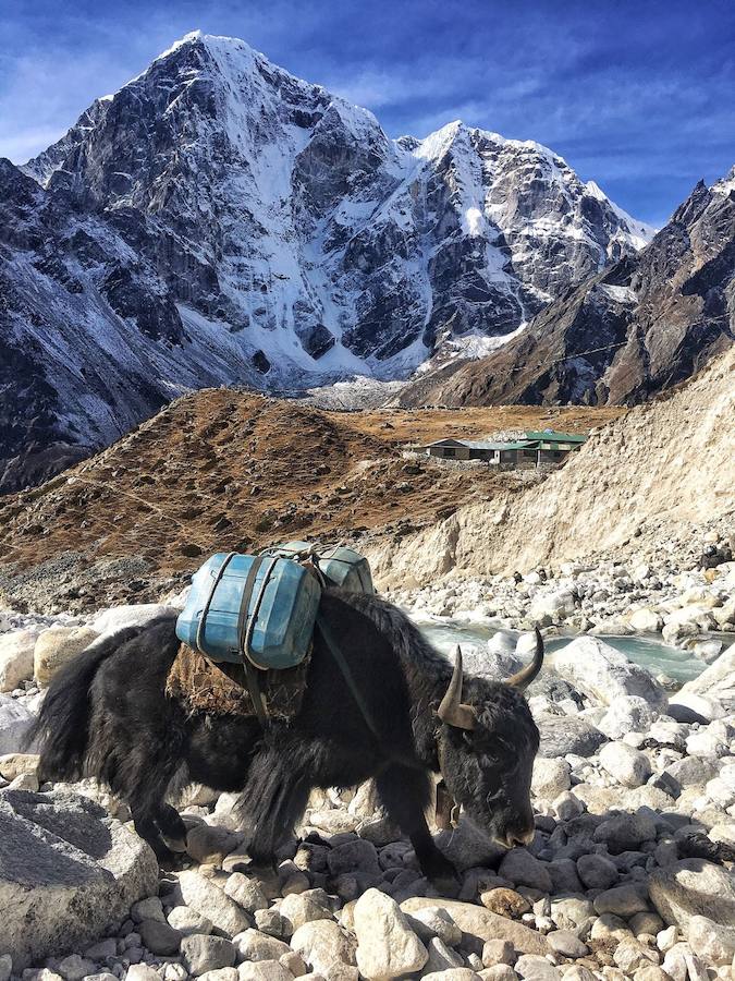 Trekking solidario desde Toreno hasta el Himalaya