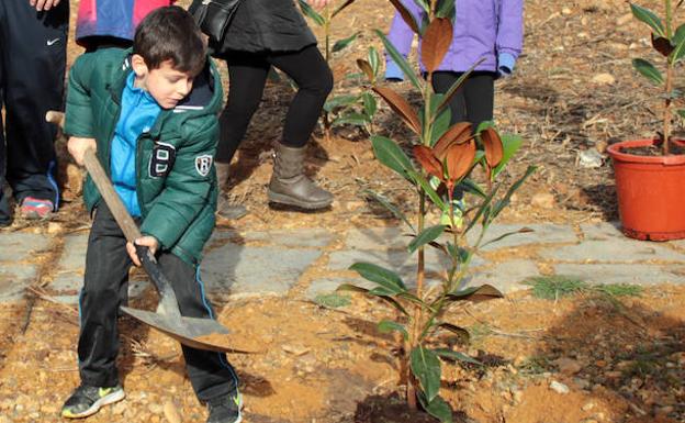 Un niño colabora en la plantación de la nueva zona verde. 
