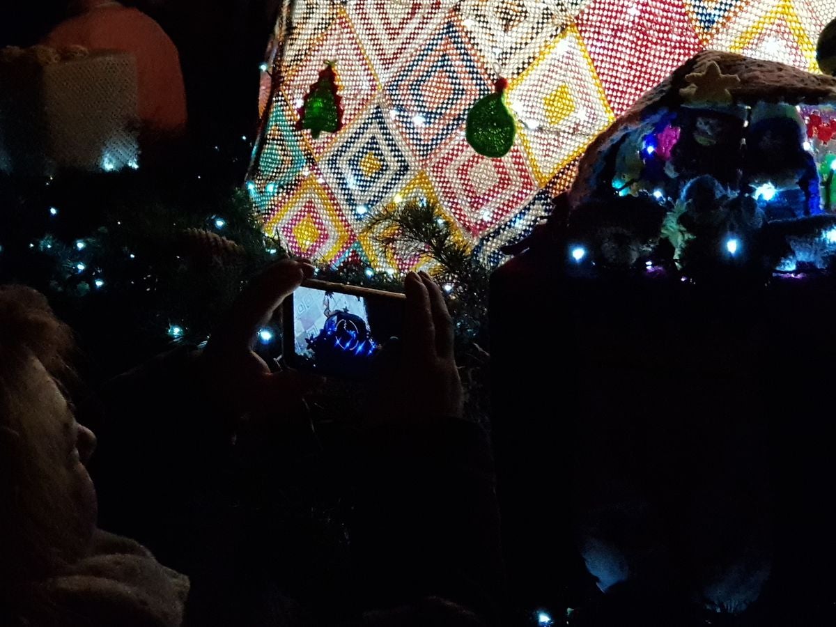 Un árbol de récord en Villoria de Órbigo