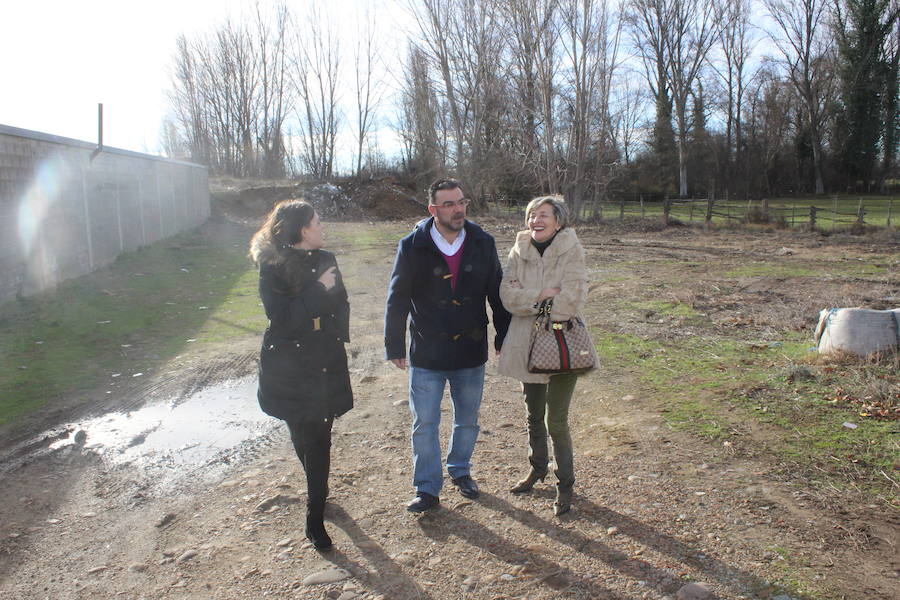 Mejoras en la Protectora de Animales