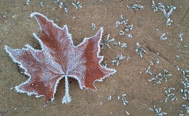 León registra 3,3 grados bajo cero durante esta noche