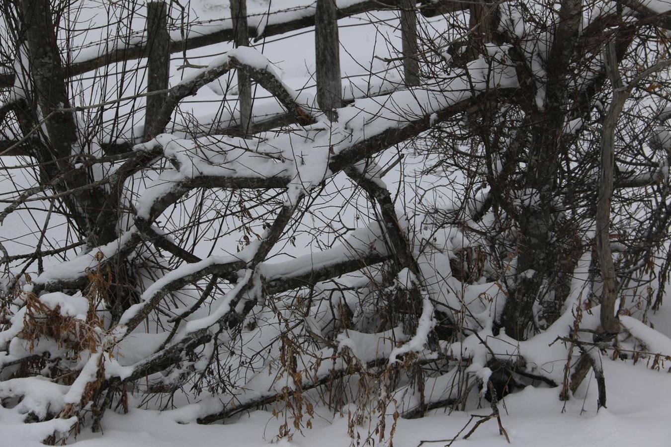 El hielo, la nieve y la ventisca, protagonistas en Pajares