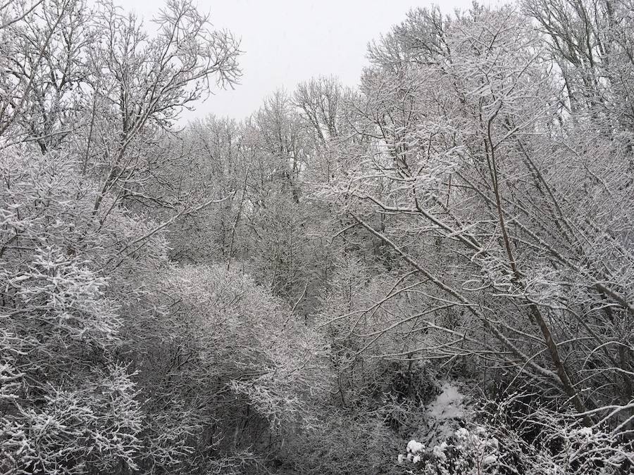 Nieva en la provincia