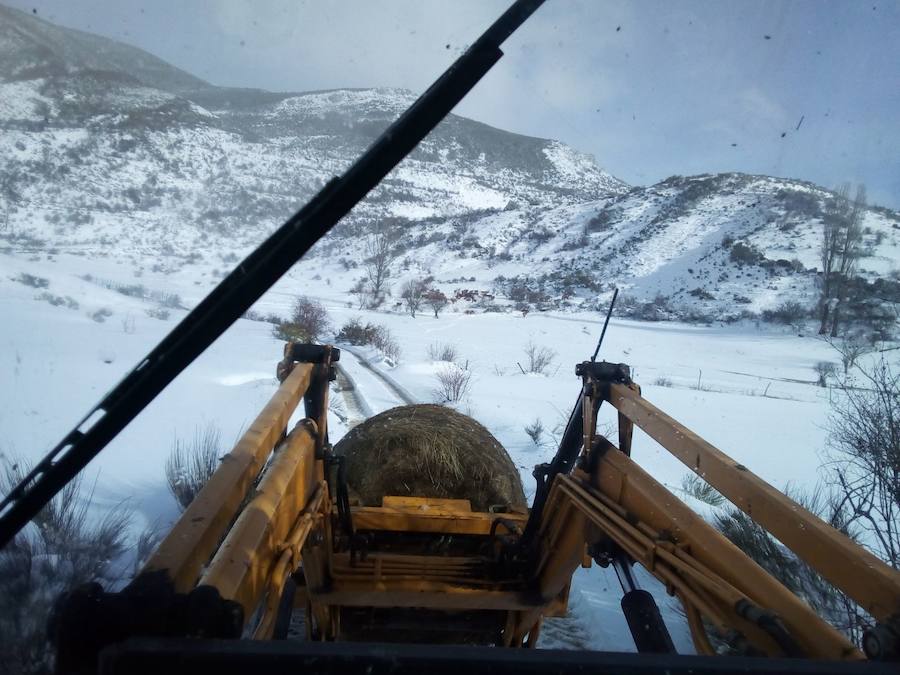 Nieva en la provincia