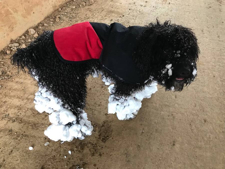 La nieve reina en la provincia