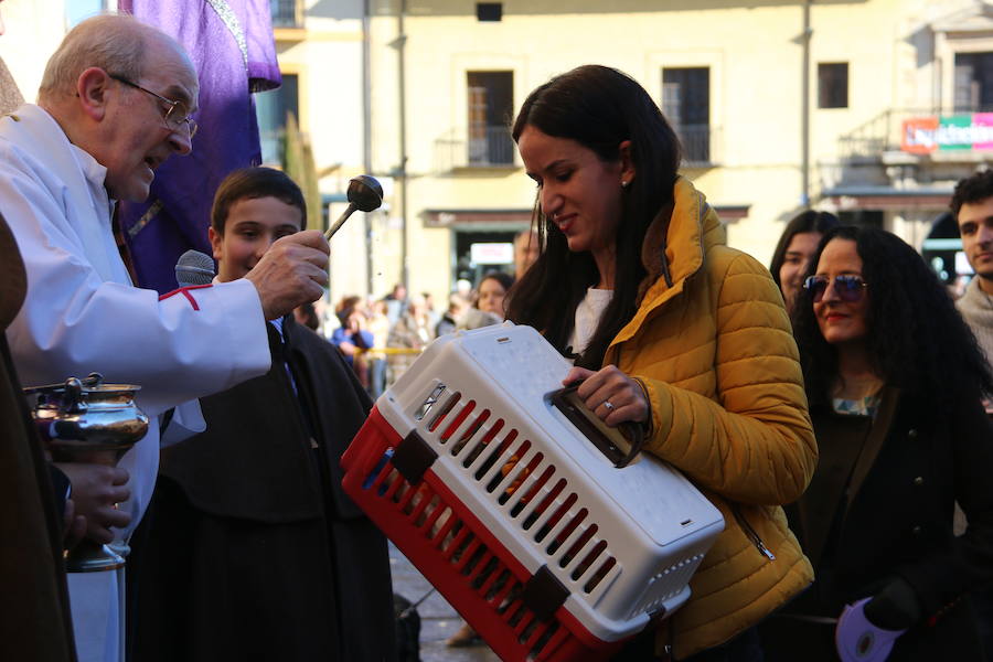 La bendición de San Antón