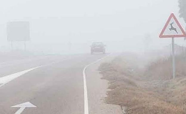 Los bancos de niebla protagonistas en las primeras horas de tráfico de este martes 