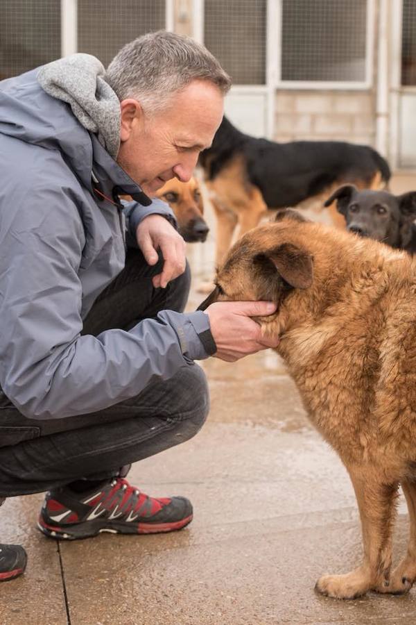 Dani Rovira visita la Protectora de León