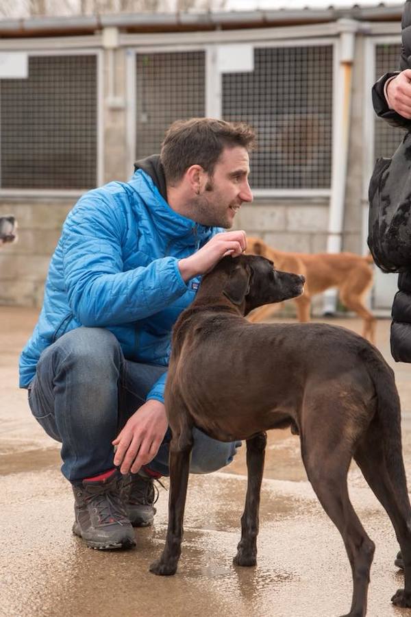 Dani Rovira visita la Protectora de León