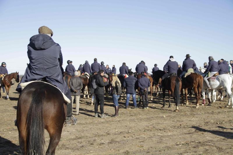 Ambiente en la carrera de galgos de este sábado en Madrigal de las Altas Torres, durante los cuartos de final del Campeonato Nacional