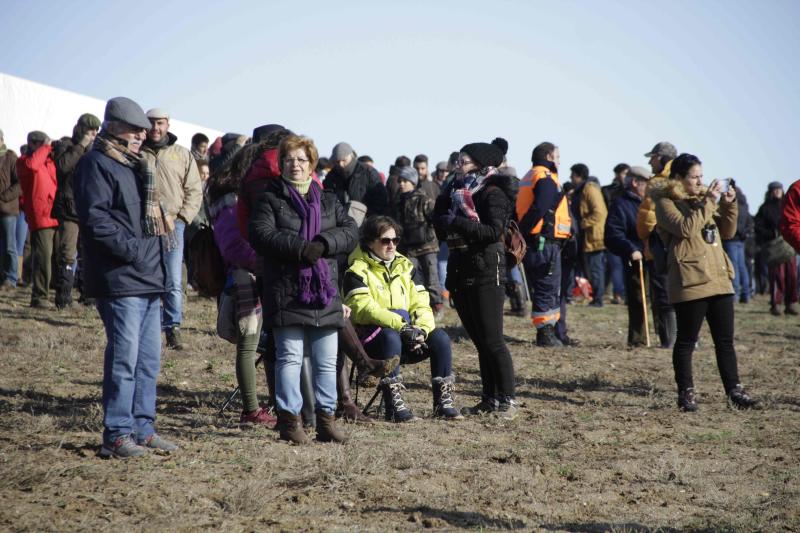 Ambiente en la carrera de galgos de este sábado en Madrigal de las Altas Torres, durante los cuartos de final del Campeonato Nacional