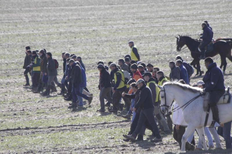 Ambiente en la carrera de galgos de este sábado en Madrigal de las Altas Torres, durante los cuartos de final del Campeonato Nacional