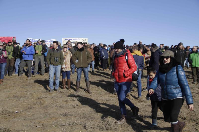 Ambiente en la carrera de galgos de este sábado en Madrigal de las Altas Torres, durante los cuartos de final del Campeonato Nacional