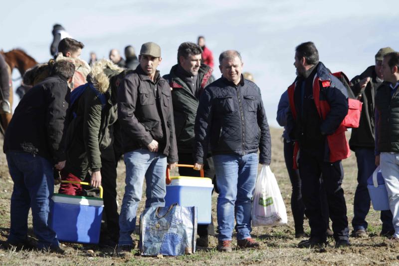 Ambiente en la carrera de galgos de este sábado en Madrigal de las Altas Torres, durante los cuartos de final del Campeonato Nacional