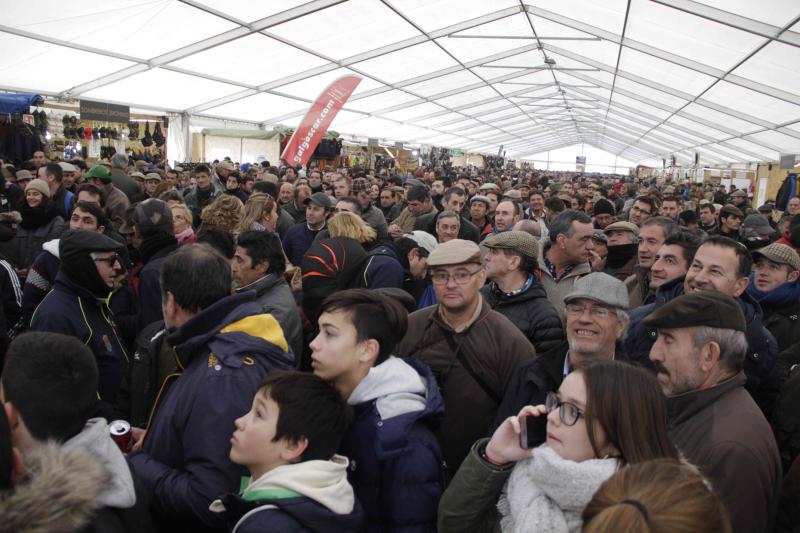 Ambiente en la carrera de galgos de este sábado en Madrigal de las Altas Torres, durante los cuartos de final del Campeonato Nacional