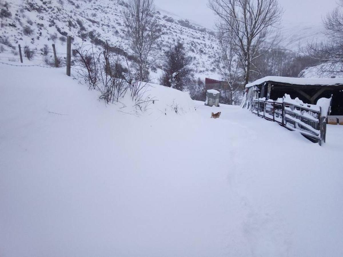 La provincia de León se tiñe de blanco