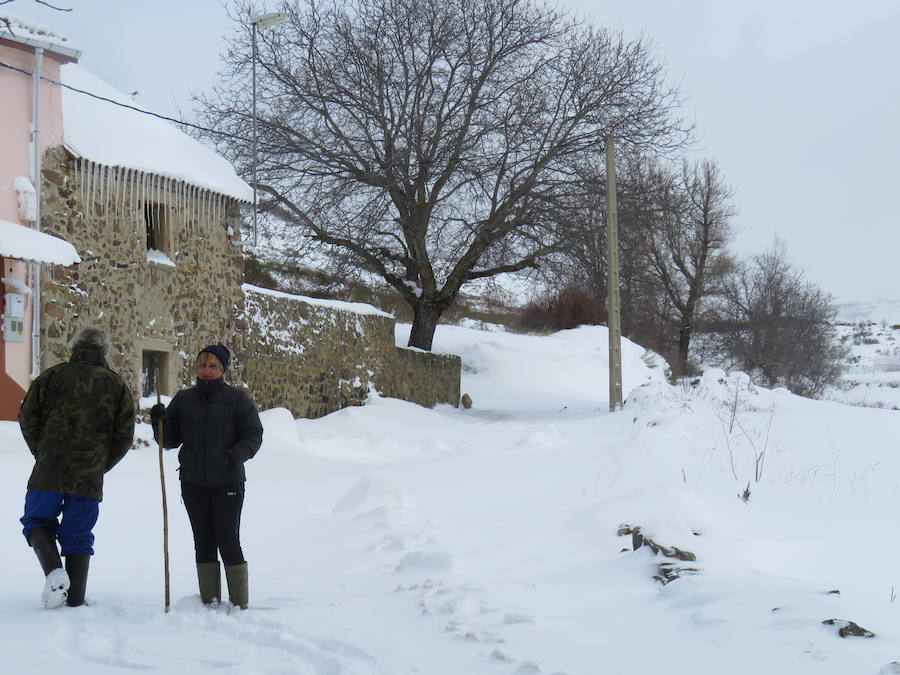 Rescate en la nieve