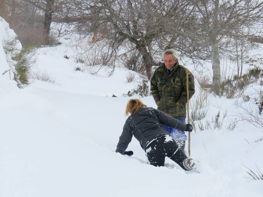 Rescate en la nieve