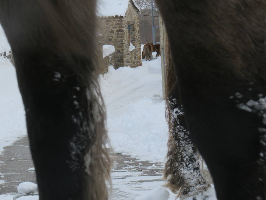 Rescate en la nieve