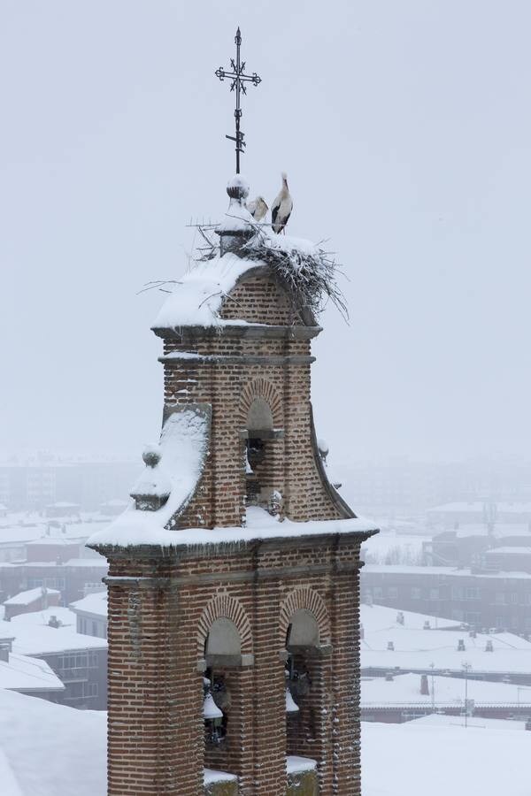 Nieve en Ávila.