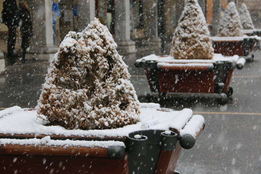 La nieve aterriza en León