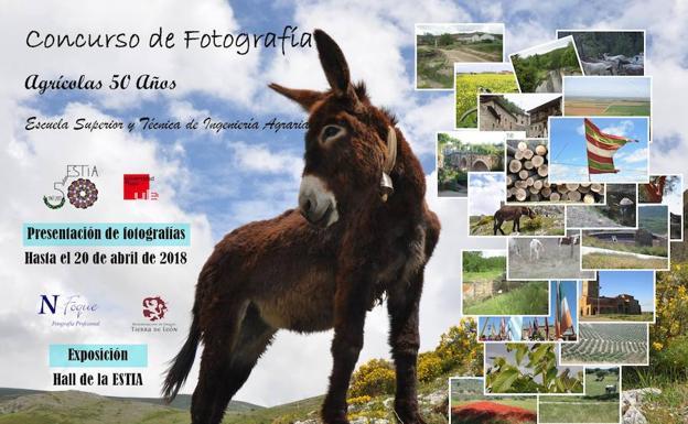 Cartel del concurso