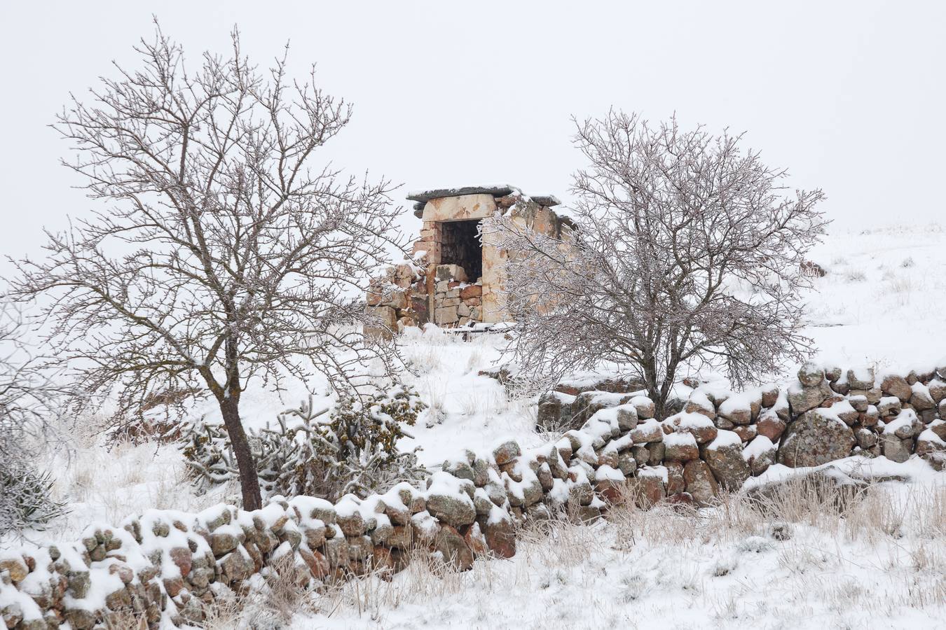 Temporal de nieve y hielo en Tardobispo, en la provincia de Zamora.