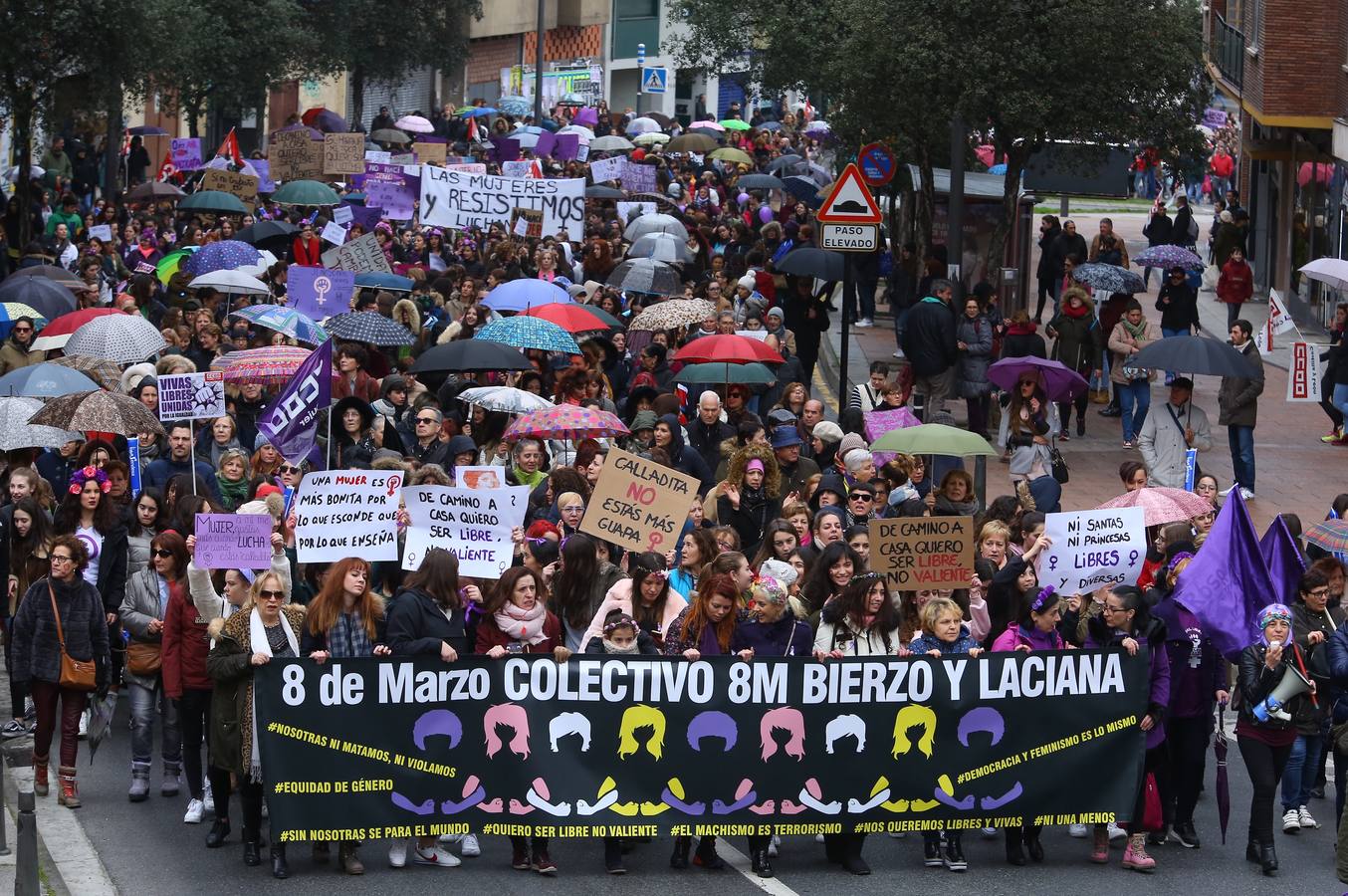 Manifestación del 8-M en Ponferrada (León).