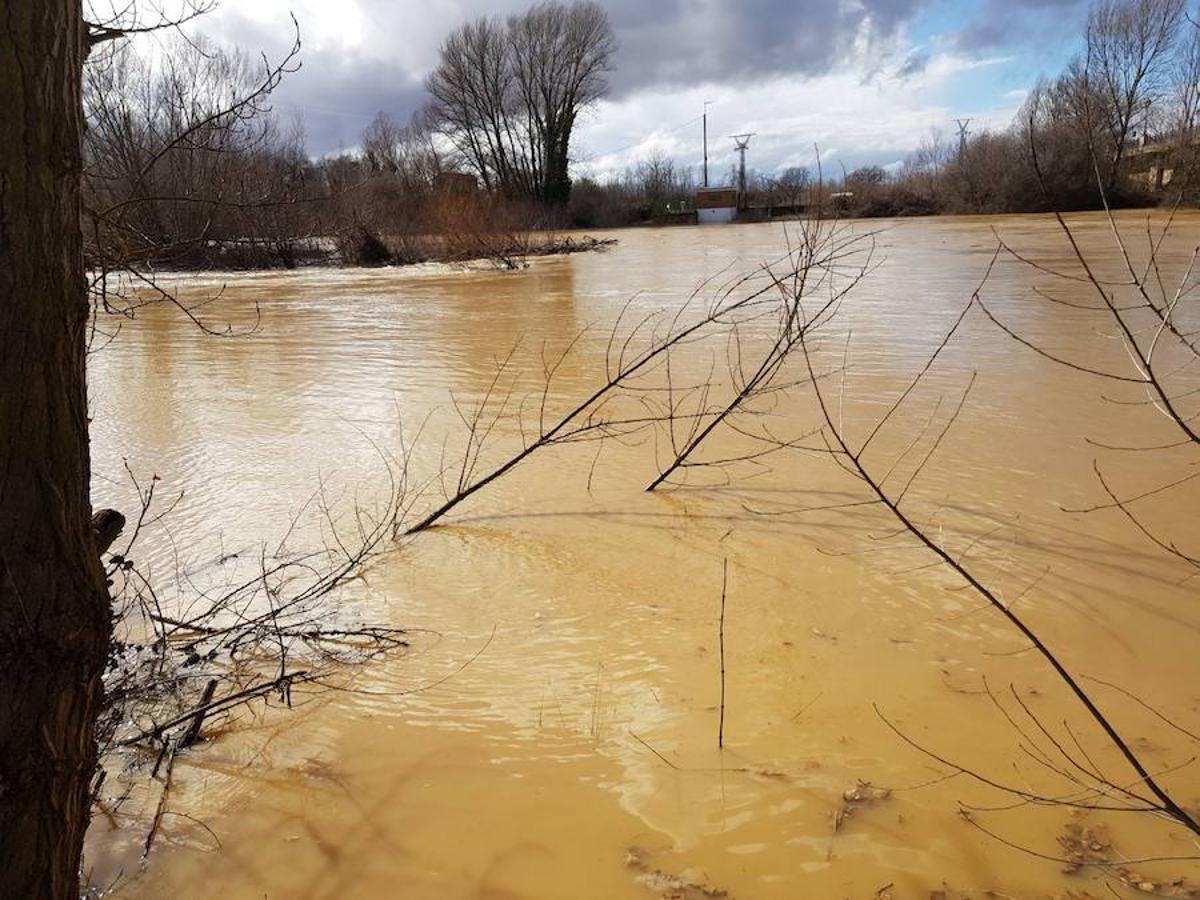 Fotos: El Esla pasa crecido por Valencia de Don Juan