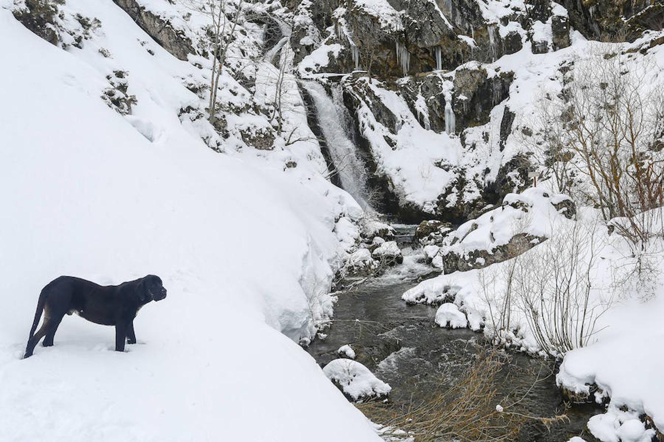 Fotos: Una vista sobre las cascadas de Castilla y León