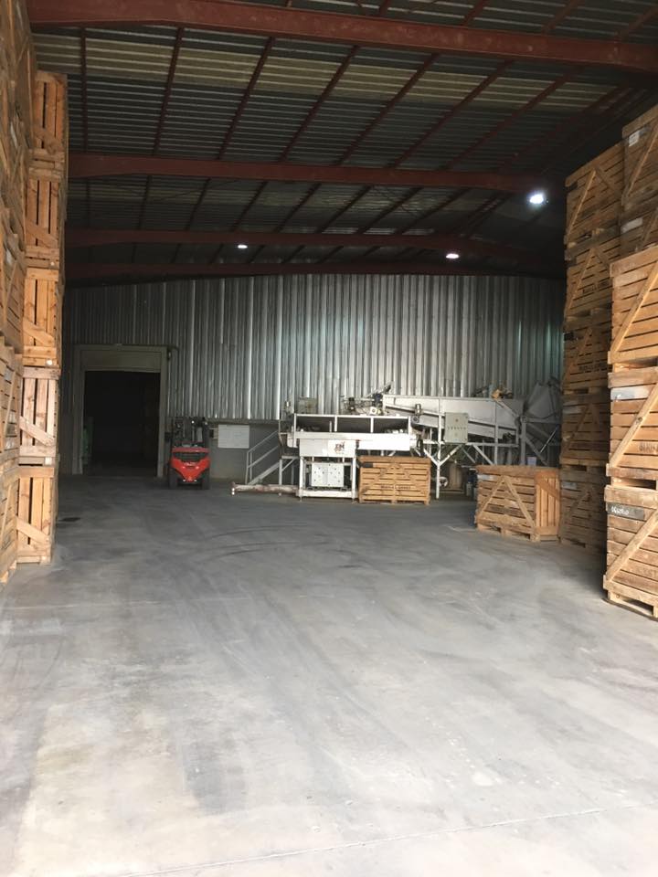 Fotos: Limpranor, servicios y mantenimiento