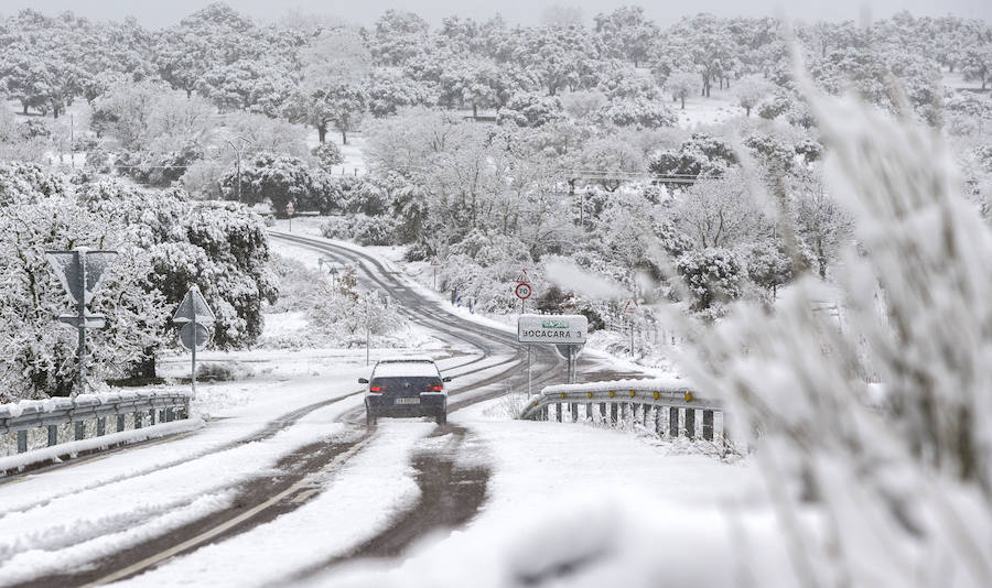 Fotos: Temporal nieve en Castilla y León