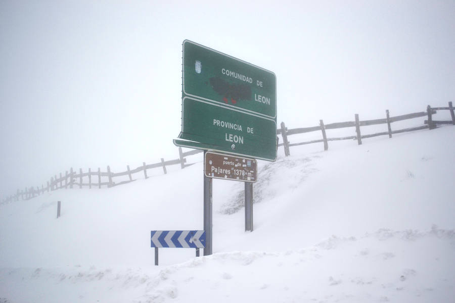 Fotos: Ya es primavera...invernal