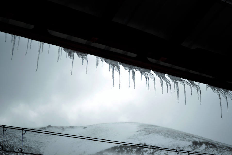 Fotos: Ya es primavera...invernal