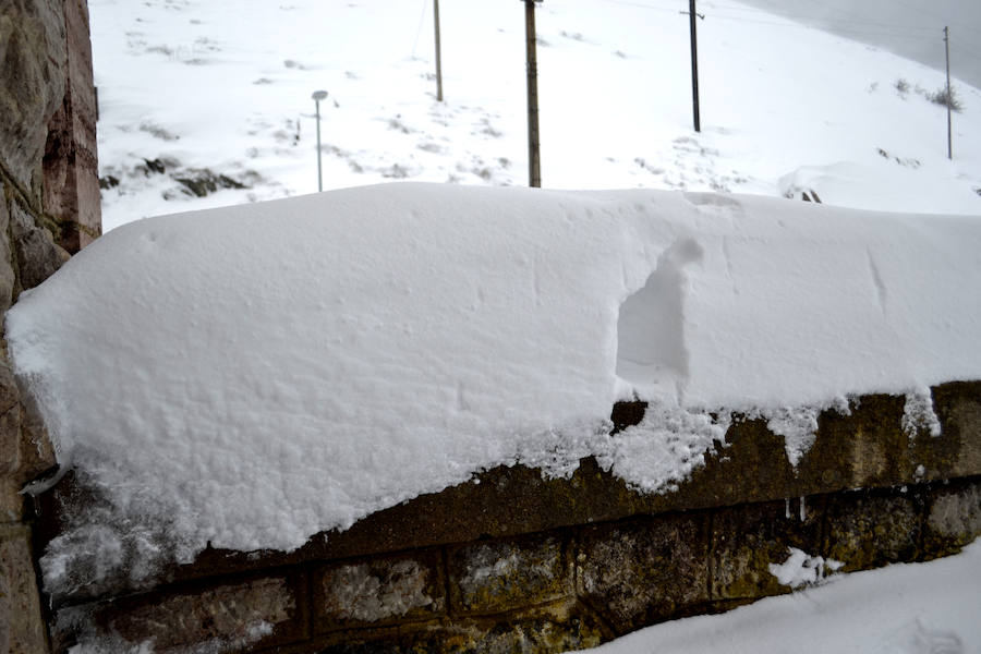 Fotos: Ya es primavera...invernal