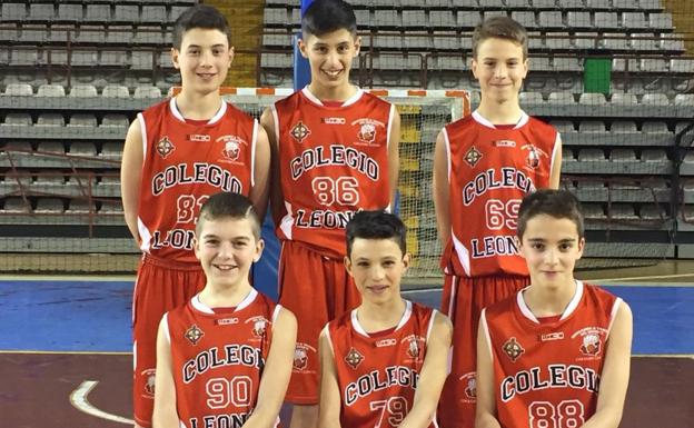 Seis alumnos del Colegio Leonés, en el Campeonato de España Mini de Baloncesto