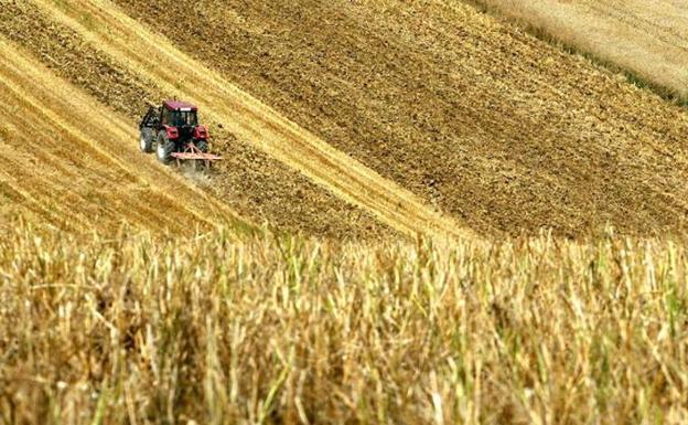 El Gobierno amplía el plazo para modificar las declaraciones de seguro de secano en explotaciones de Castilla y León