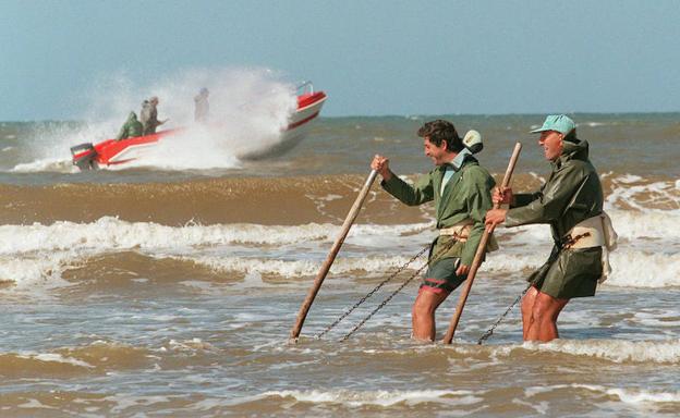 Dos coquineros extraen almejas de las arenas de la Playa de Doñana. 