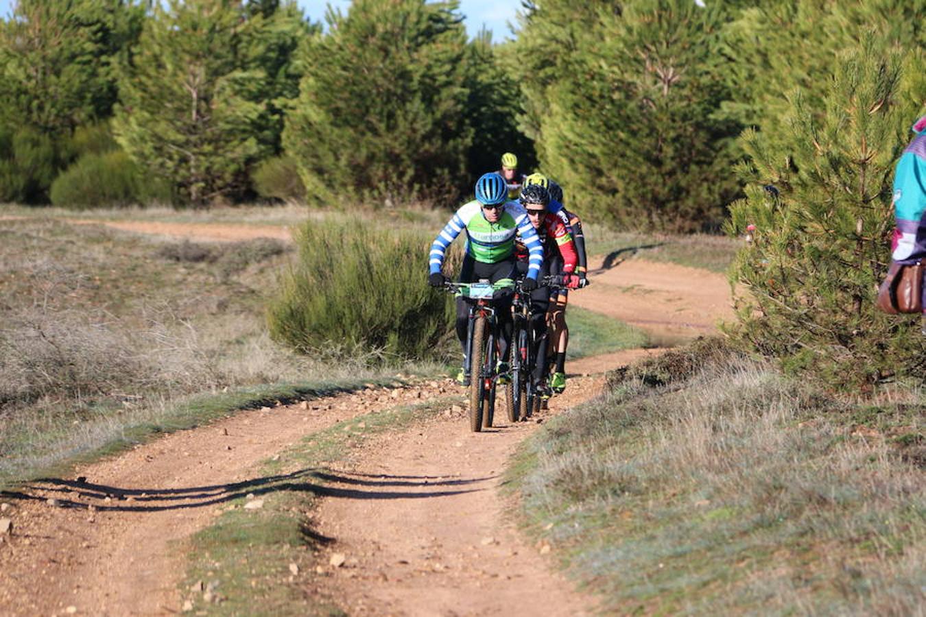 Fotos: Las mejores imágenes de la Power Race (II)