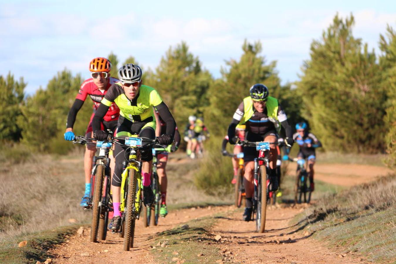 Fotos: Las mejores imágenes de la Power Race (II)
