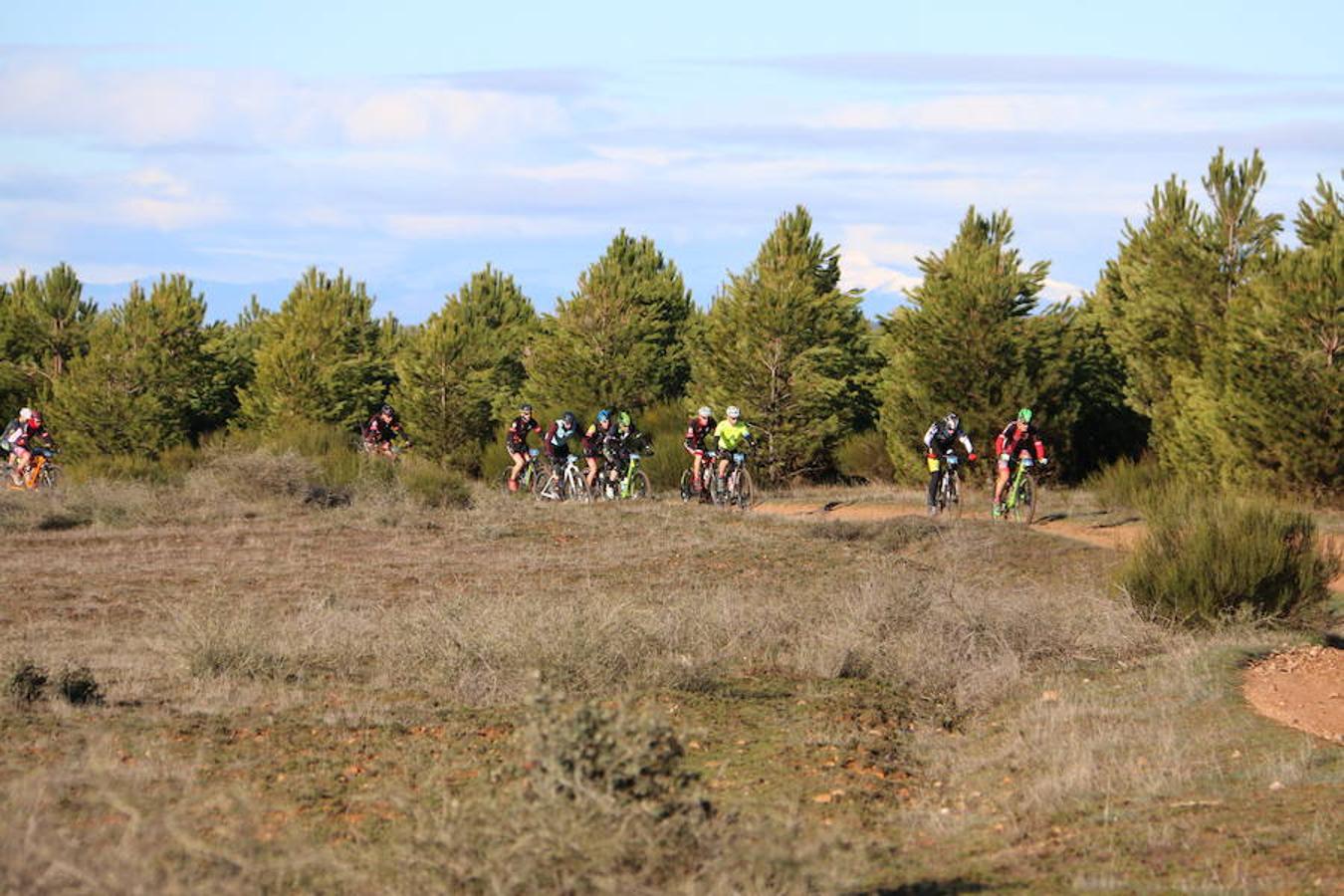 Fotos: Las mejores imágenes de la Power Race (II)
