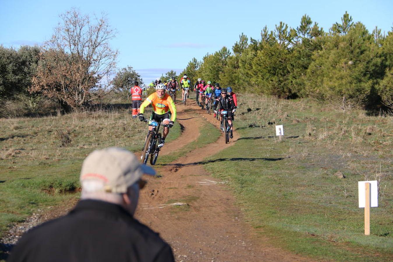 Fotos: Las mejores imágenes de la Power Race (II)