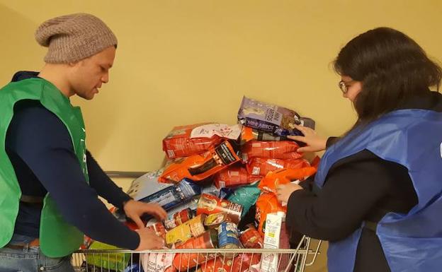 Dos voluntarios, durante la recogida. 