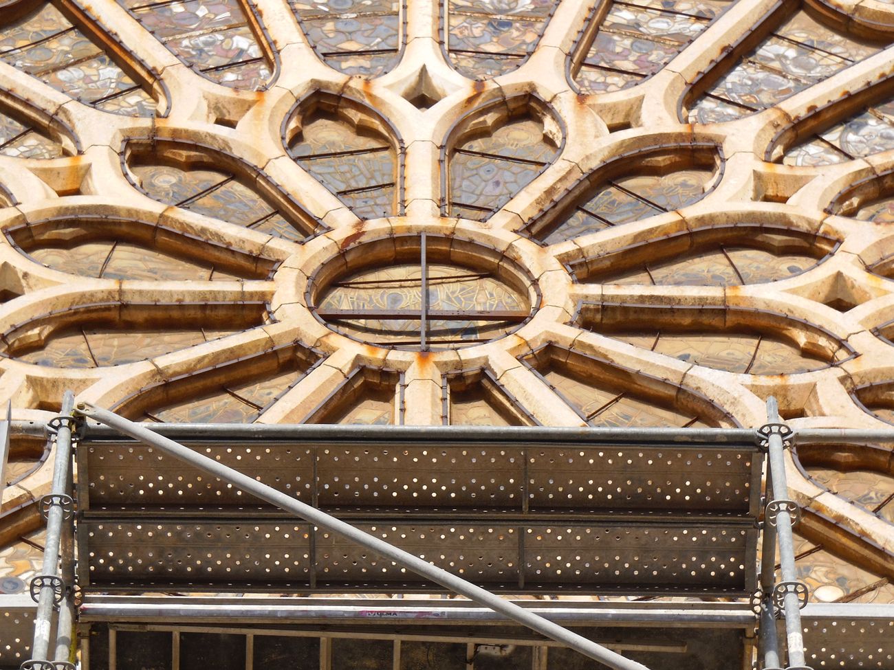 Los andamios en la fachada oeste de la Catedral de León han alcanzado este lunes el rosetón. Las obras de restauración por tiempo indeterminado superan los 300.000 euros