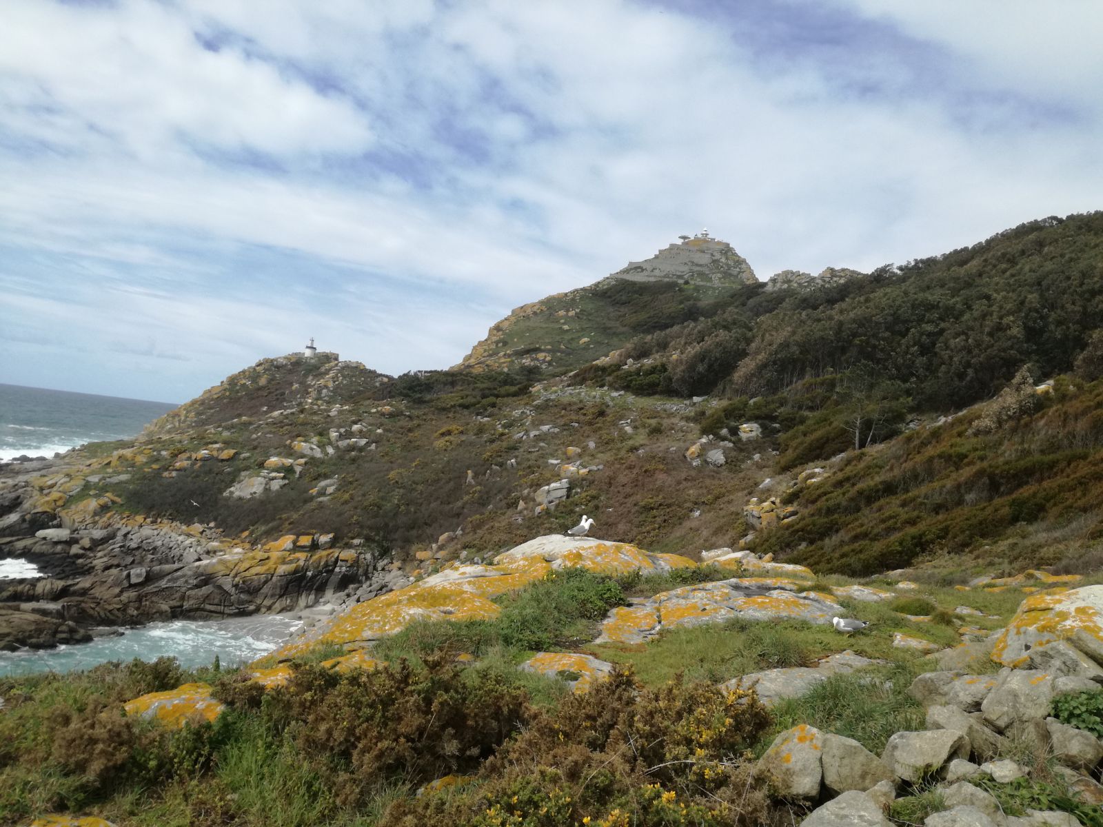 Imágenes tomadas en las Islas Cies.