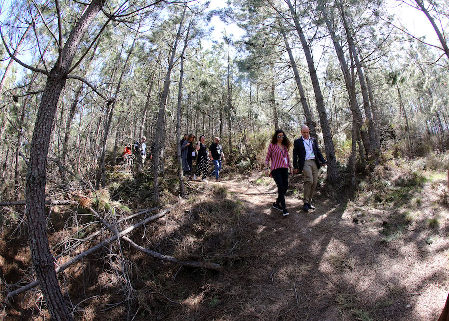 Fotos: Paraje natural de Corta da Ribeirinha (Oporto)