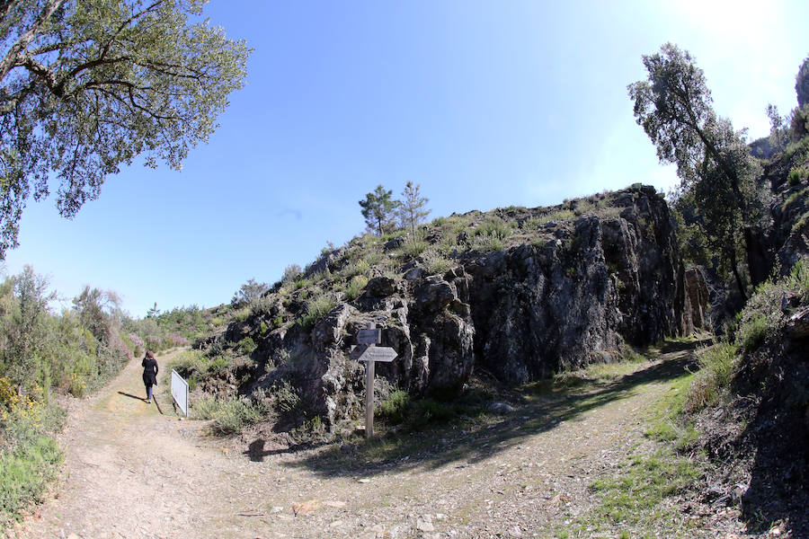 Fotos: Paraje natural de Corta da Ribeirinha (Oporto)