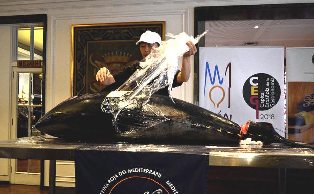 Galería. EL chef Tajiri muestra el atún rojo de más de 125 kilos. 