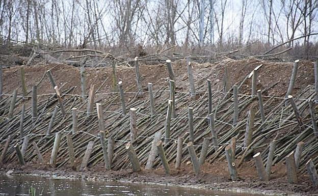 Imagen de una de las zonas recuperadas.